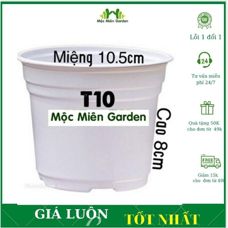 10 Chậu Nhựa Trồng Sen Đá - Xương Rồng - Cây Cảnh - Cây Phong Thủy - Cây Để Bàn- Cây Văn Phòng - Mộc Miên Garden
