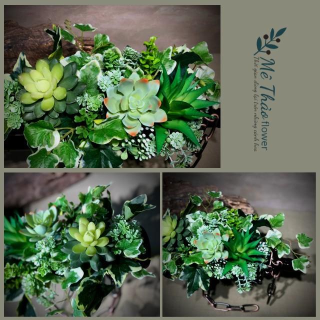 Lọ Hoa, Bình Hoa Giá Cây Chai Kèm Hoa Cao Cấp Trang Trí Phòng Khách, Decor Nhà Cửa, Phòng Ngủ, Studio