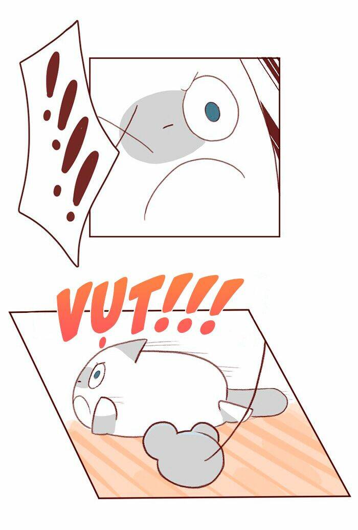 saphie: chú mèo một mắt chapter 3 15