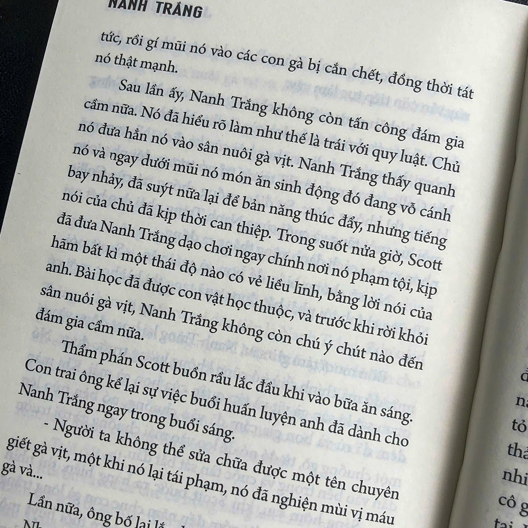 Sách: Nanh Trắng - Jack London