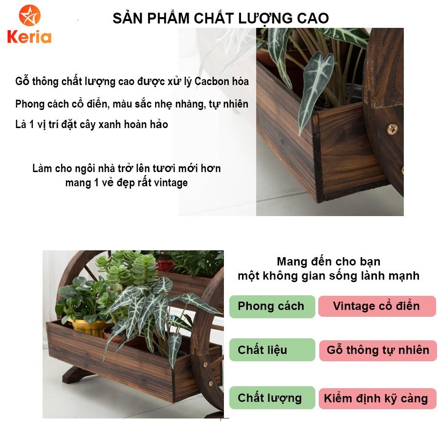 Kệ trồng hoa 2 tầng bằng gỗ thông dày dặn, kệ trồng cây cảnh trồng lan, bonsai trang trí nhà cửa sân vườn KG06