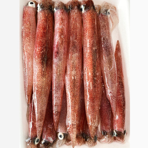 Mực Ghim ( Khay 500g )