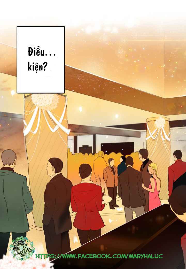 rắc rối về vấn đề yêu đương của tôi chapter 18 36