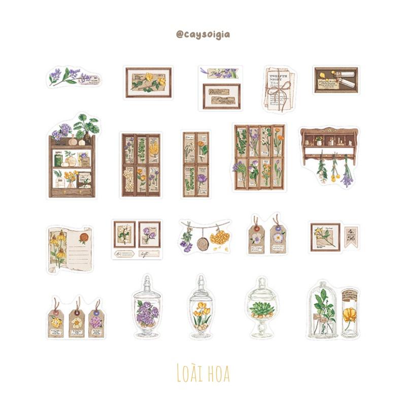 S68 - Set 20 stickers PET chống nước bộ sưu tập vintage cổ điển Infeel.Me trang trí sổ bullet journal, junk journal