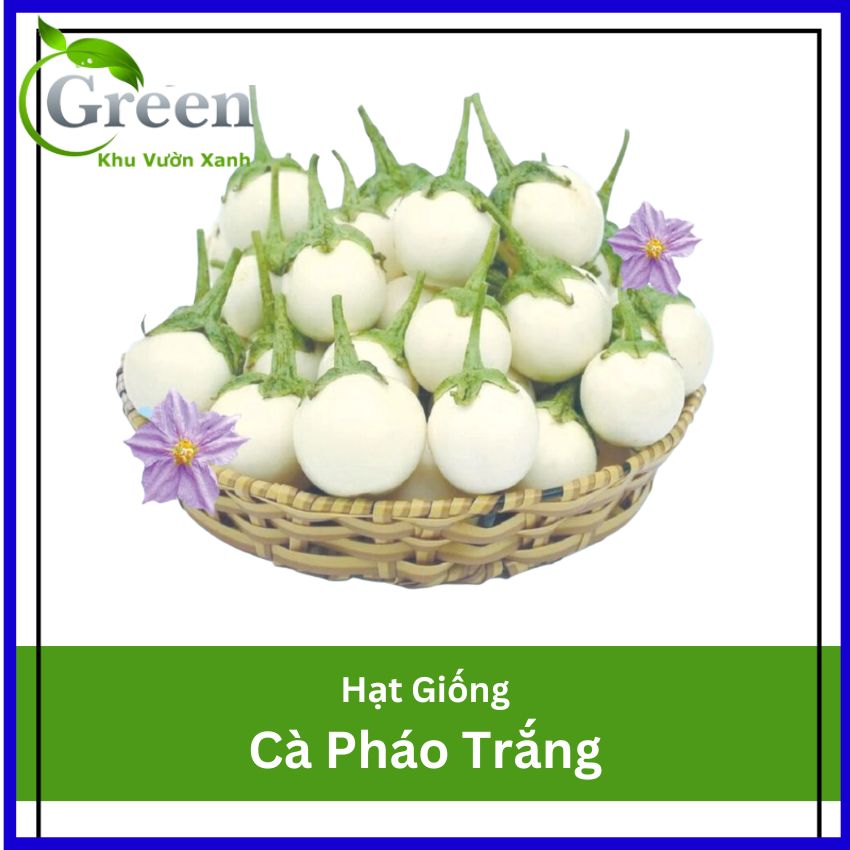 Hạt Giống Cà Pháo Trắng Sai Trái