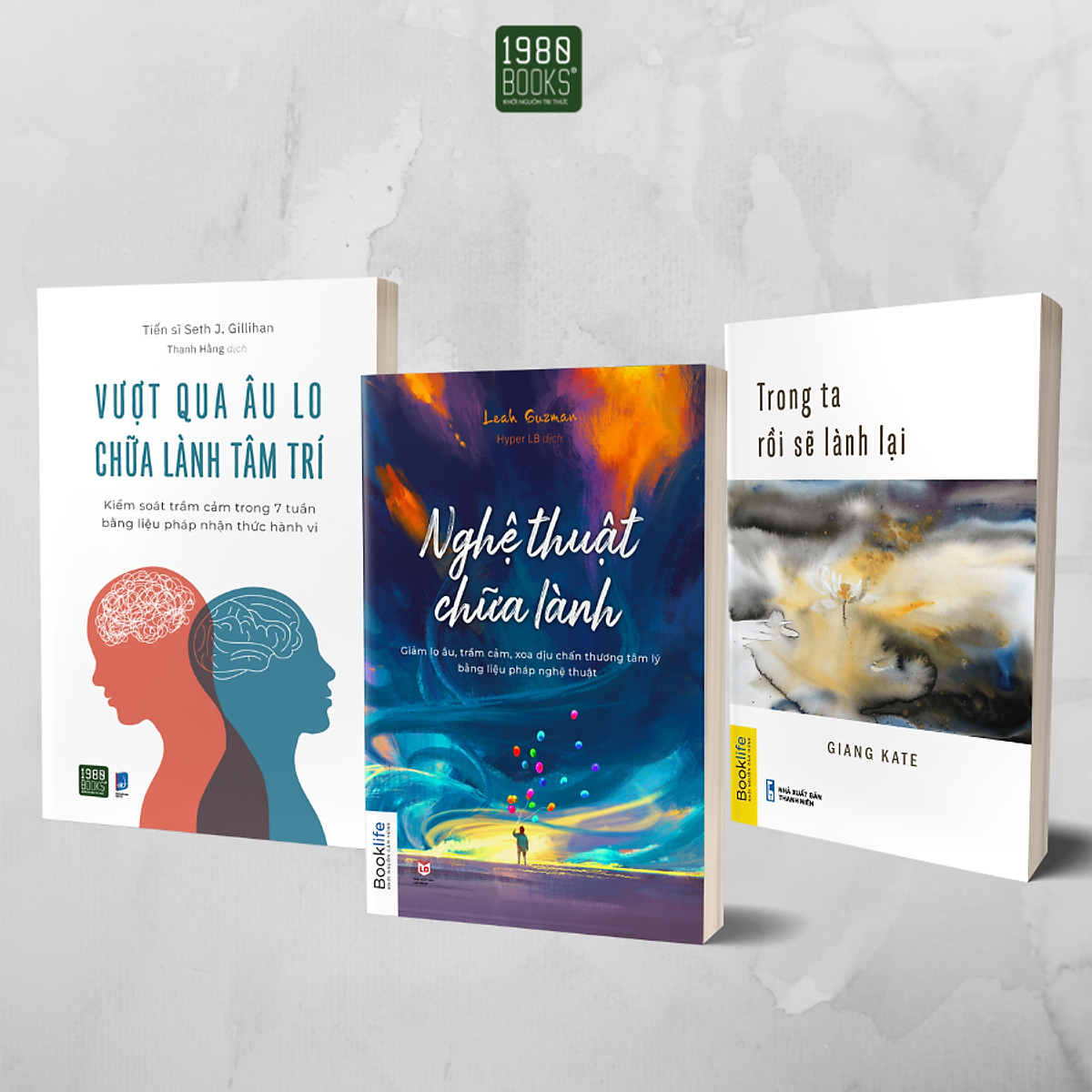 Combo 3 cuốn Nghệ thuật chữa lành + Trong ta rồi sẽ lành lại + Vượt qua âu lo chữa lành tâm trí - Bản Quyền
