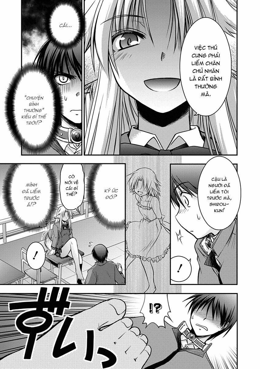 perowan! - hayaku shinasai! goshujin-sama chapter 1 6