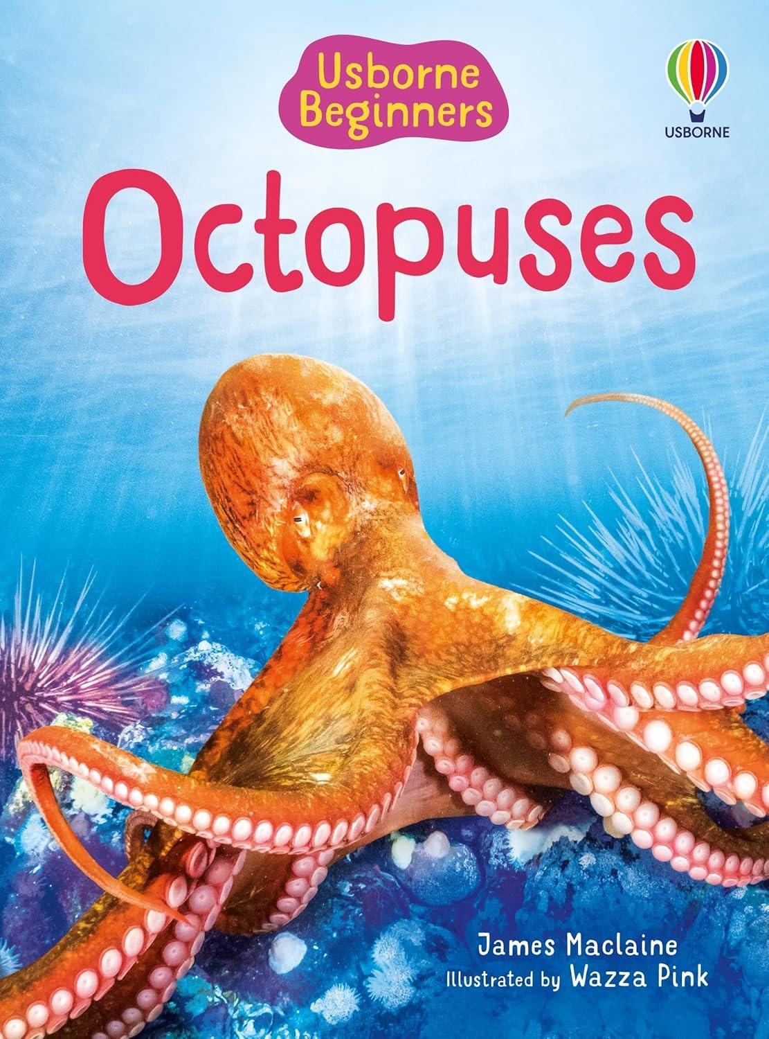 Sách ngoại văn: Beginners Octopuses