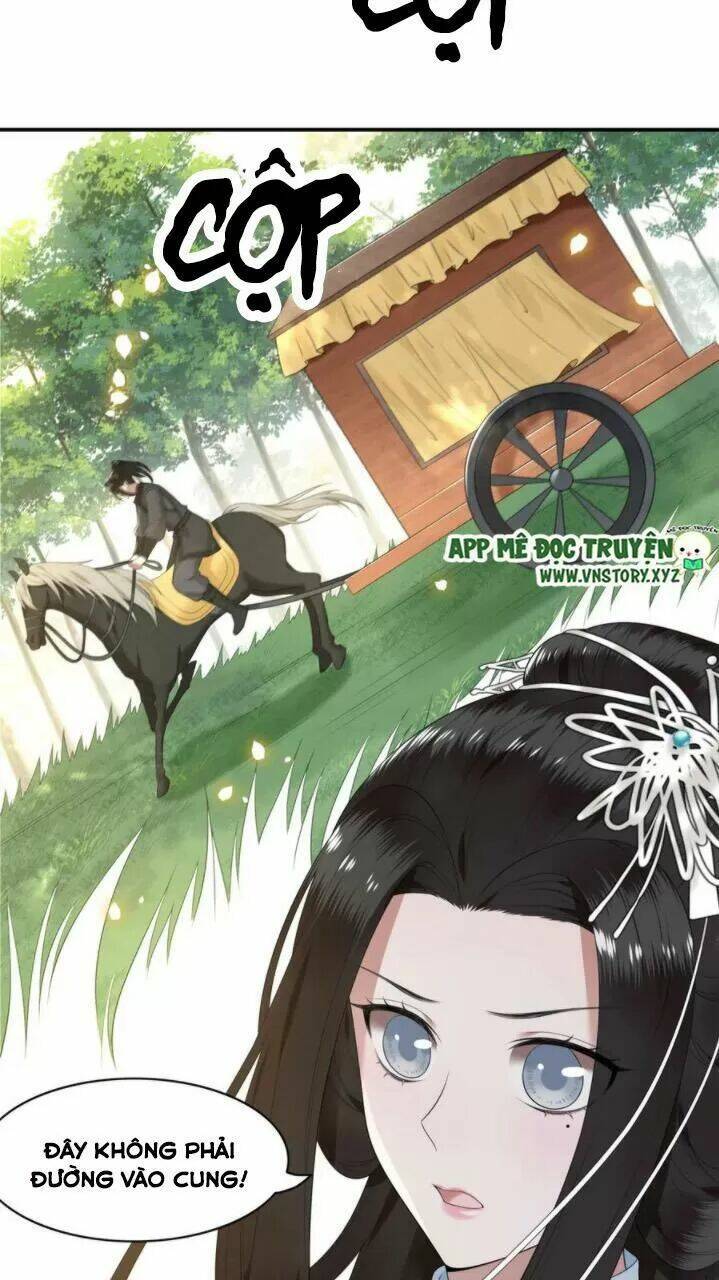 phượng hoàng vu phi chapter 85 13