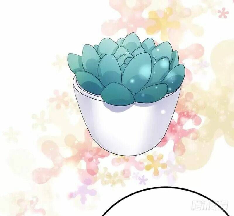 chào buổi sáng, ức vạn manh thê chapter 17 24