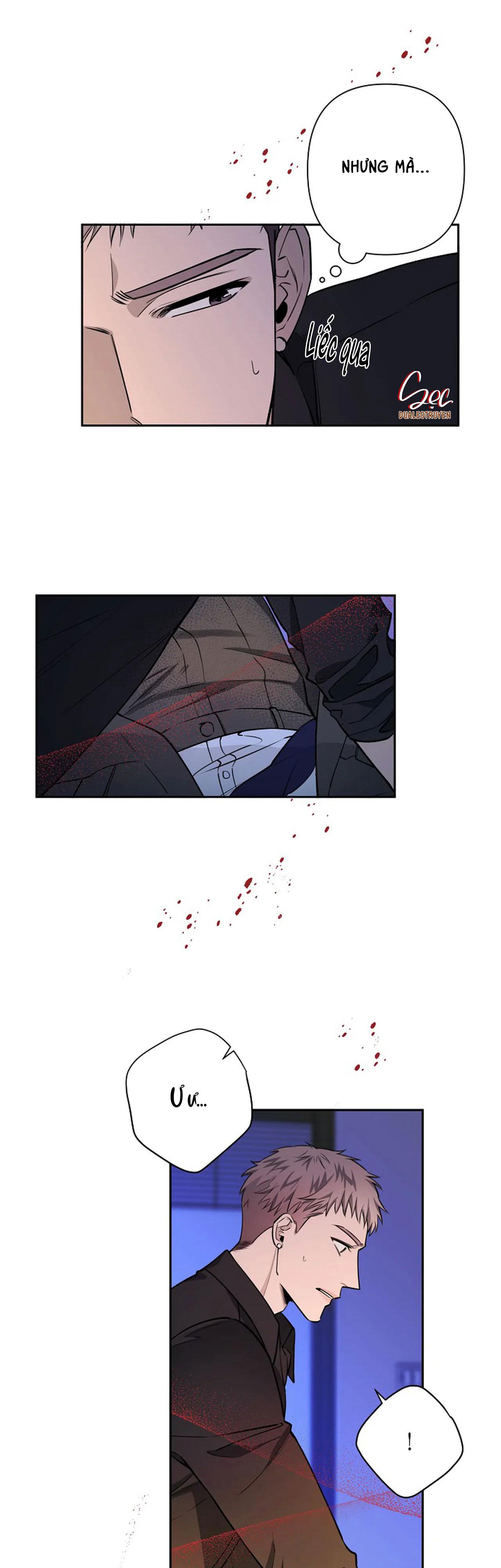 đêm dịu dàng chapter 37 16