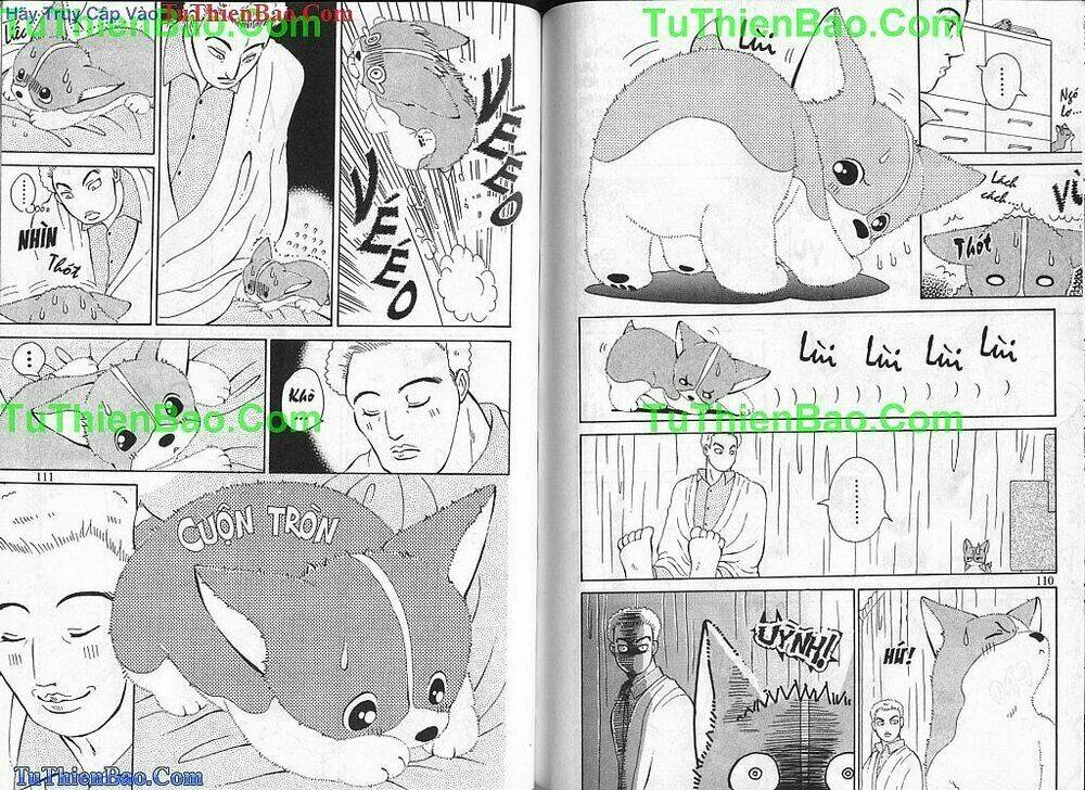 chó con mo mo chapter 1 56