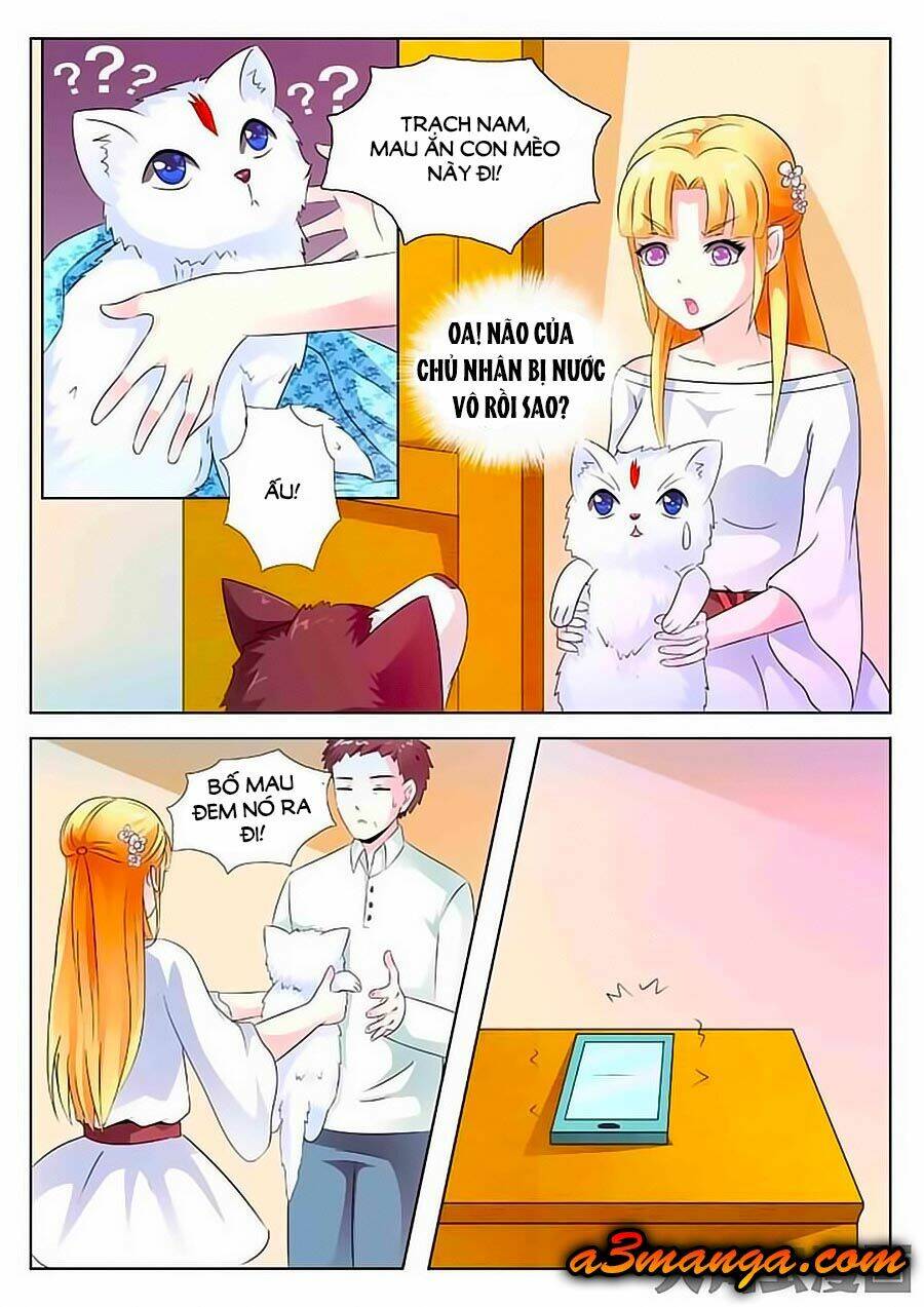 mau lấy con mèo đó ra chapter 2 5