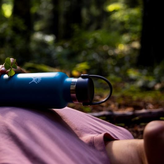 Bình giữ nhiệt tiêu chuẩn HYDRO FLASK Standard Flex Cap 21oz 621ml