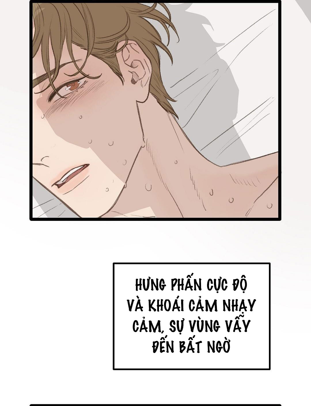 vùng cấm tình yêu của beta chapter 46 62