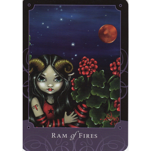 Bộ Beautiful Creatures Tarot Thẻ Bài Bói New