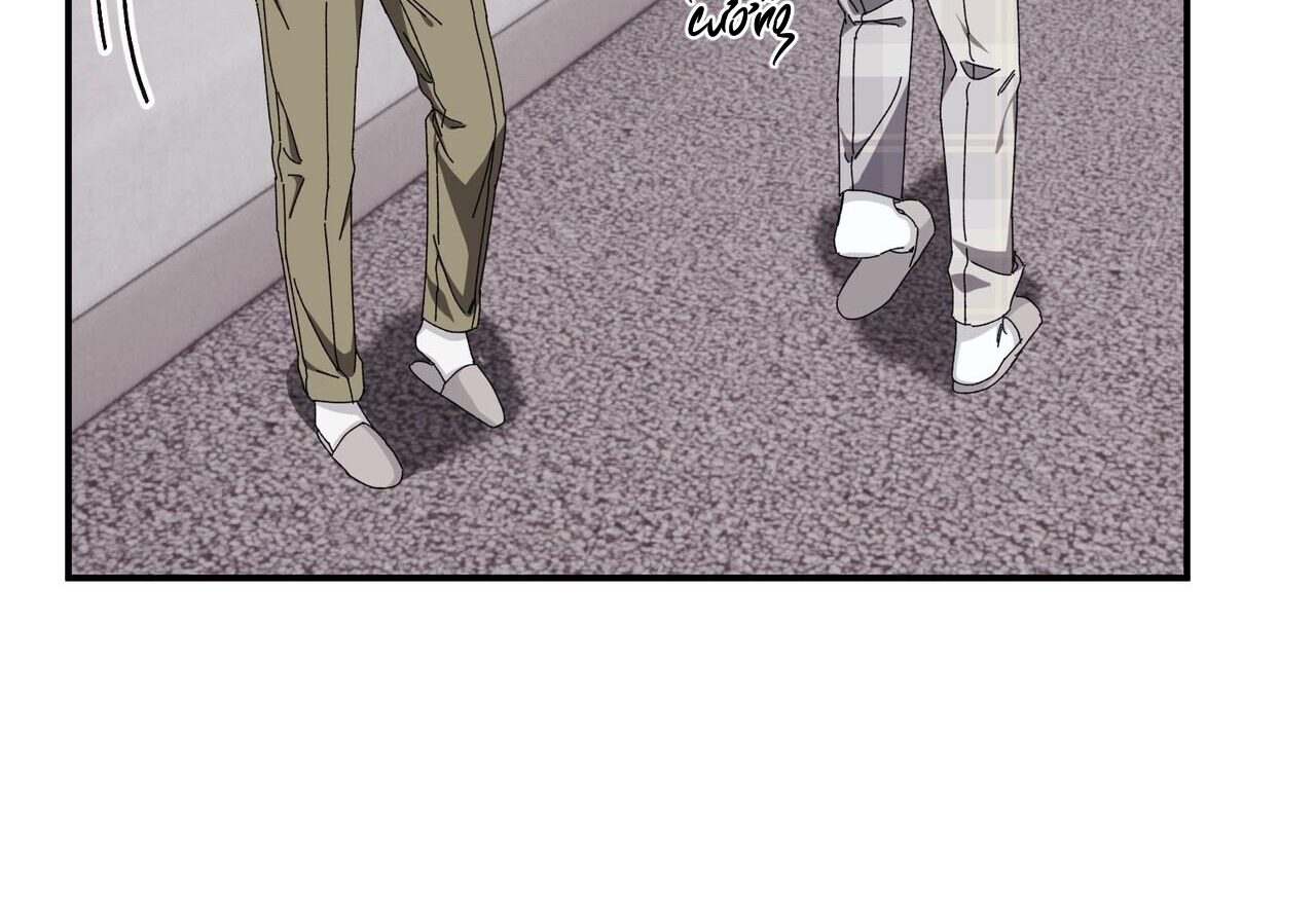 chàng dâu nhà họ kang chapter 34 151