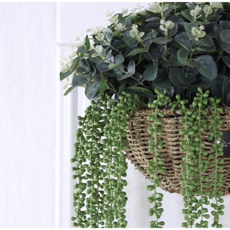 CÀNH HẠT RỦ DECOR TƯỜNG, GIỎ CÂY TREO