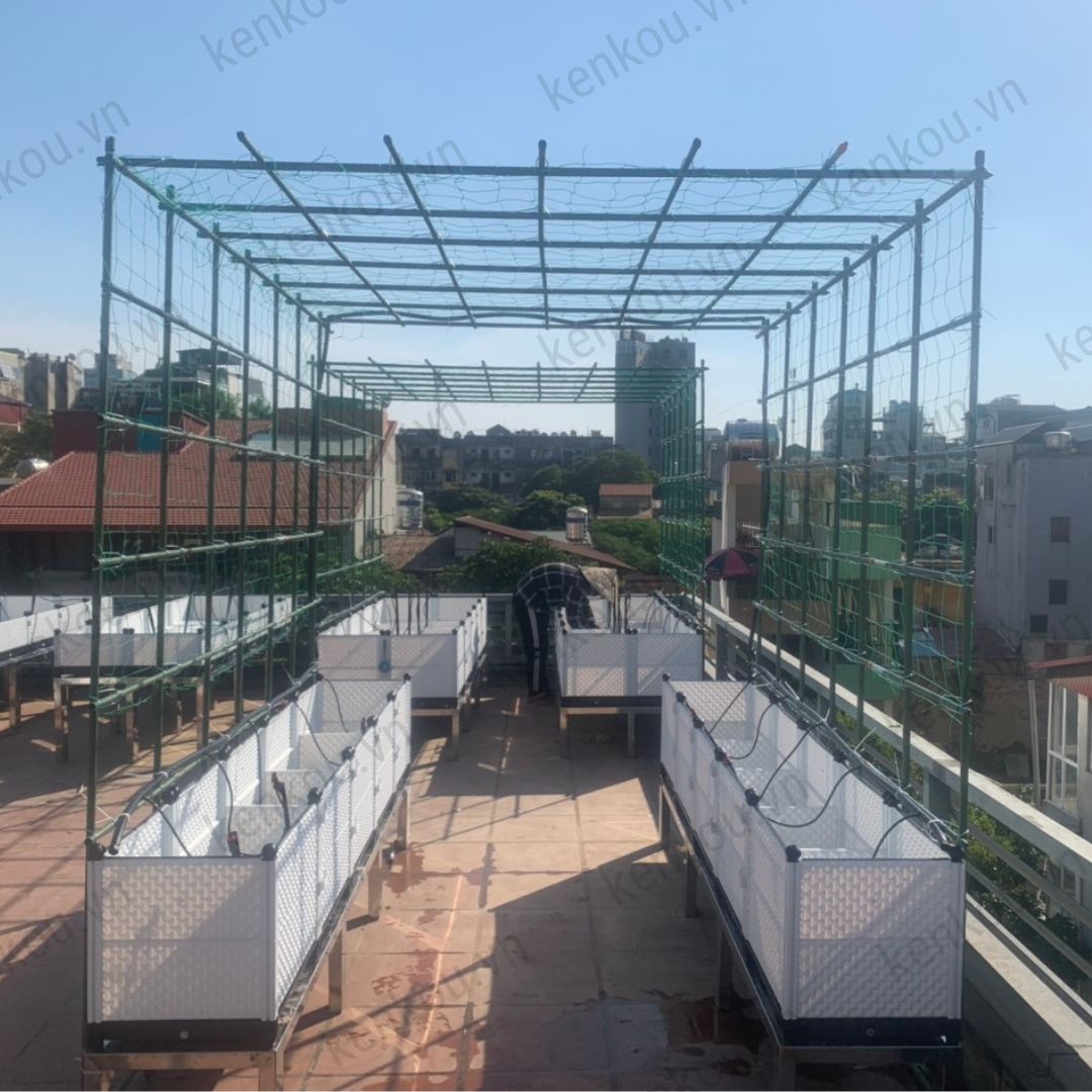 Chậu ghép trồng cây thông minh Nhật - Việt, trồng trồng rau, hoa, cây cảnh