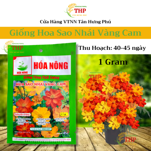 Hạt giống Hoa Sao Nhái Vàng Cam | Hạt Giống | gói 1gr