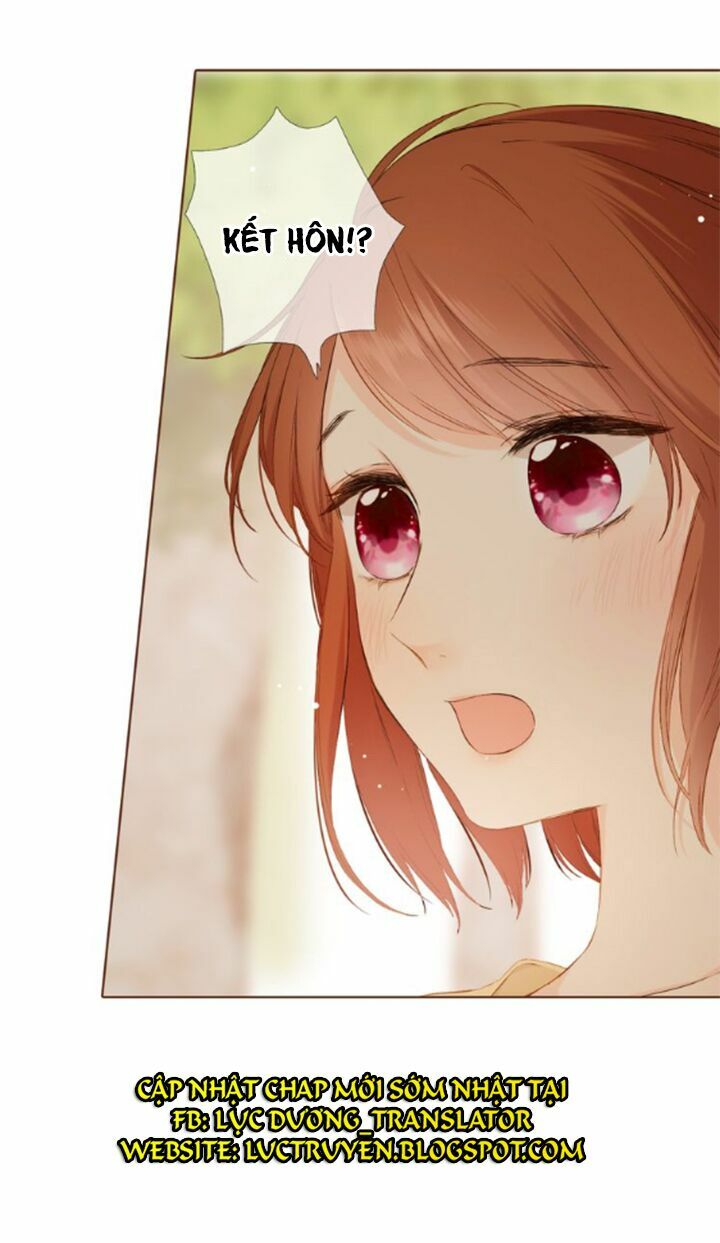 Tình yêu là màu hoa anh thảo chapter 36.1 37
