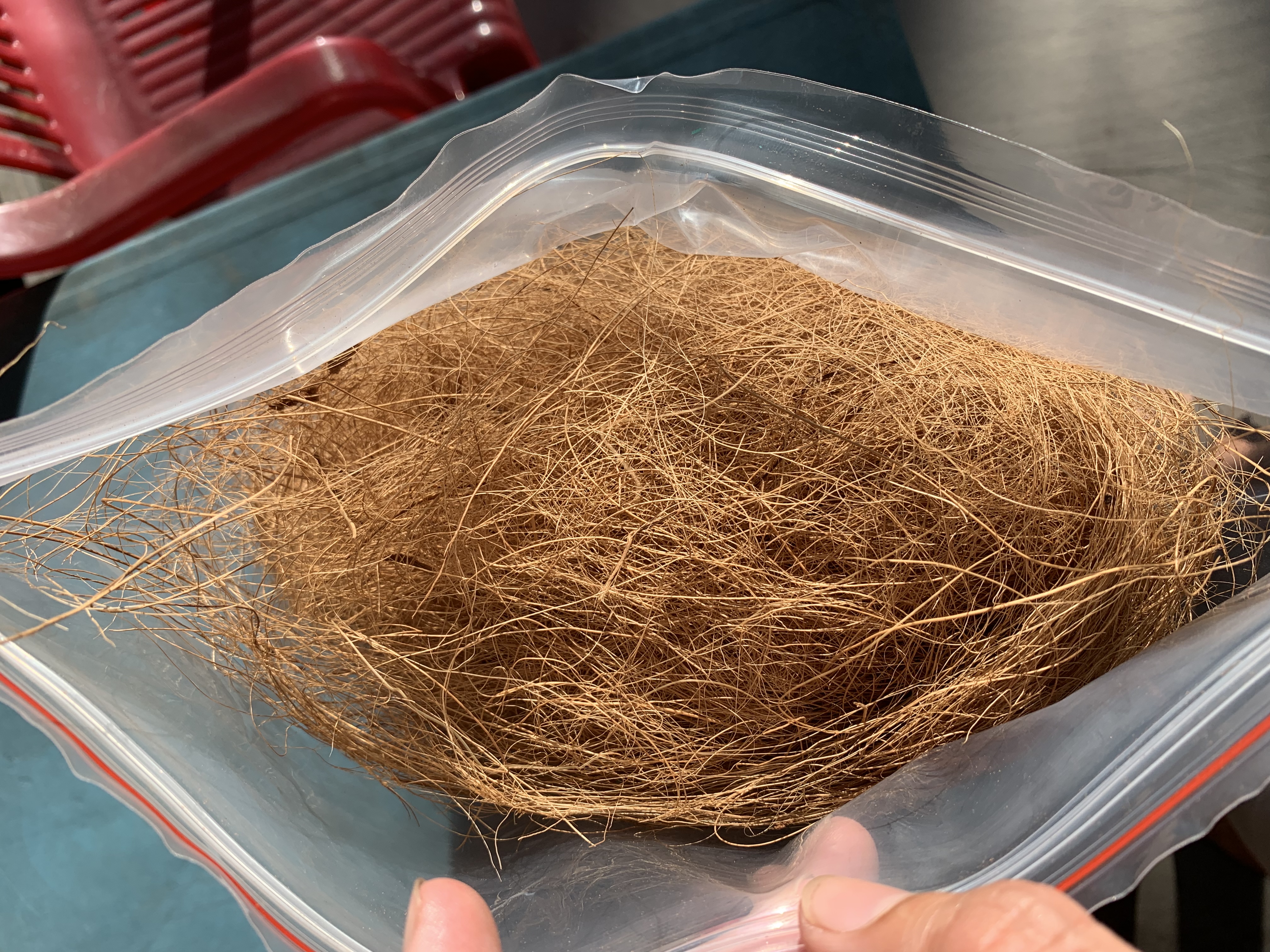 Chỉ xơ dừa đấp góc