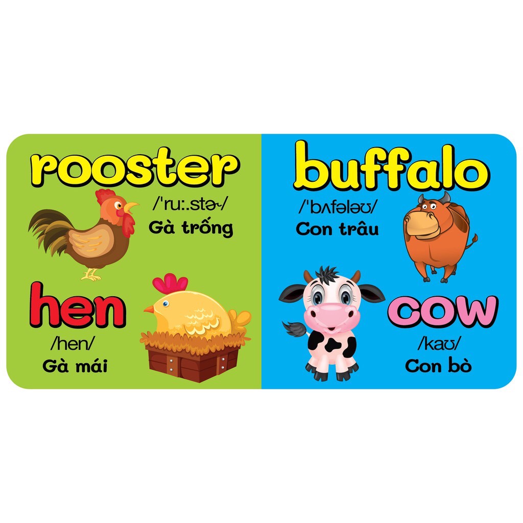 Bộ Sách Baby'S First Picture Dictionary - Từ Điển Bằng Hình Đầu Tiên Của Bé