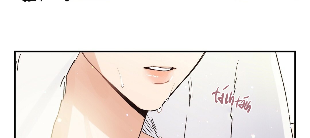 phức cảm tự ti của omega chapter 12 46