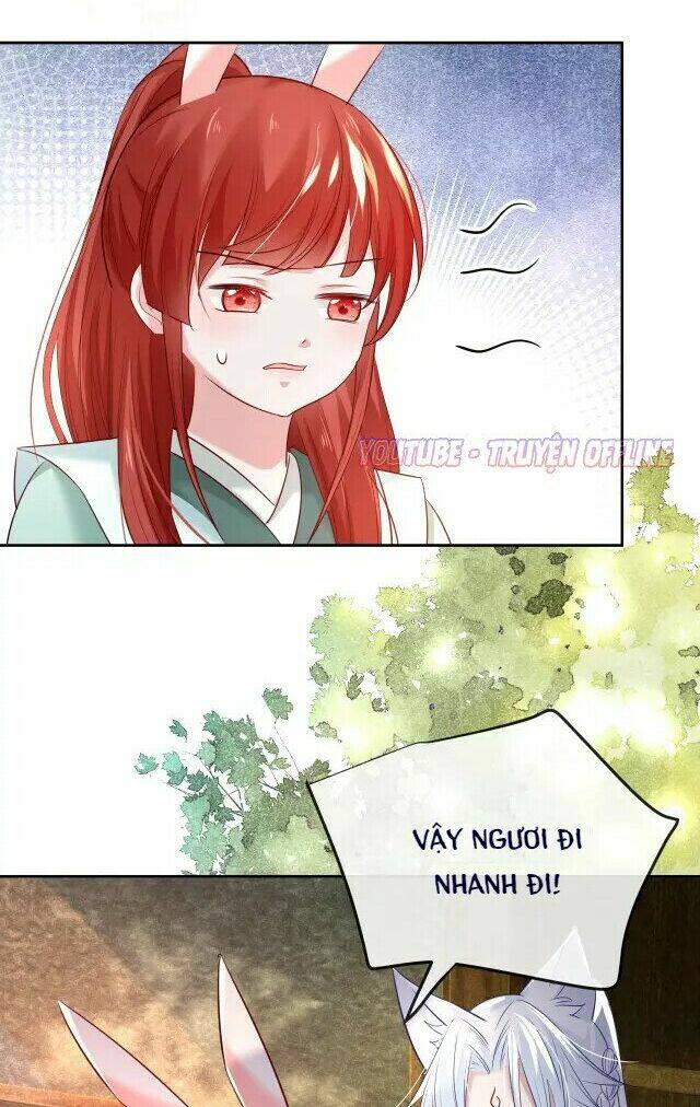 hắc hóa nam chính trực tuyến nuôi thỏ chapter 29 17