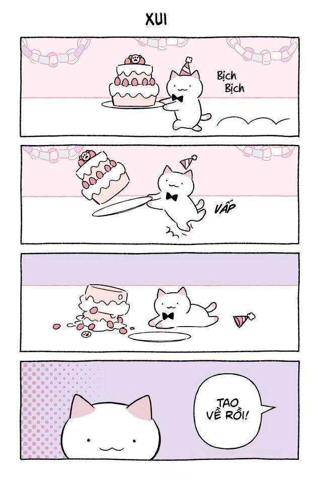 chú mèo kỳ diệu kyuu-chan chapter 597 2