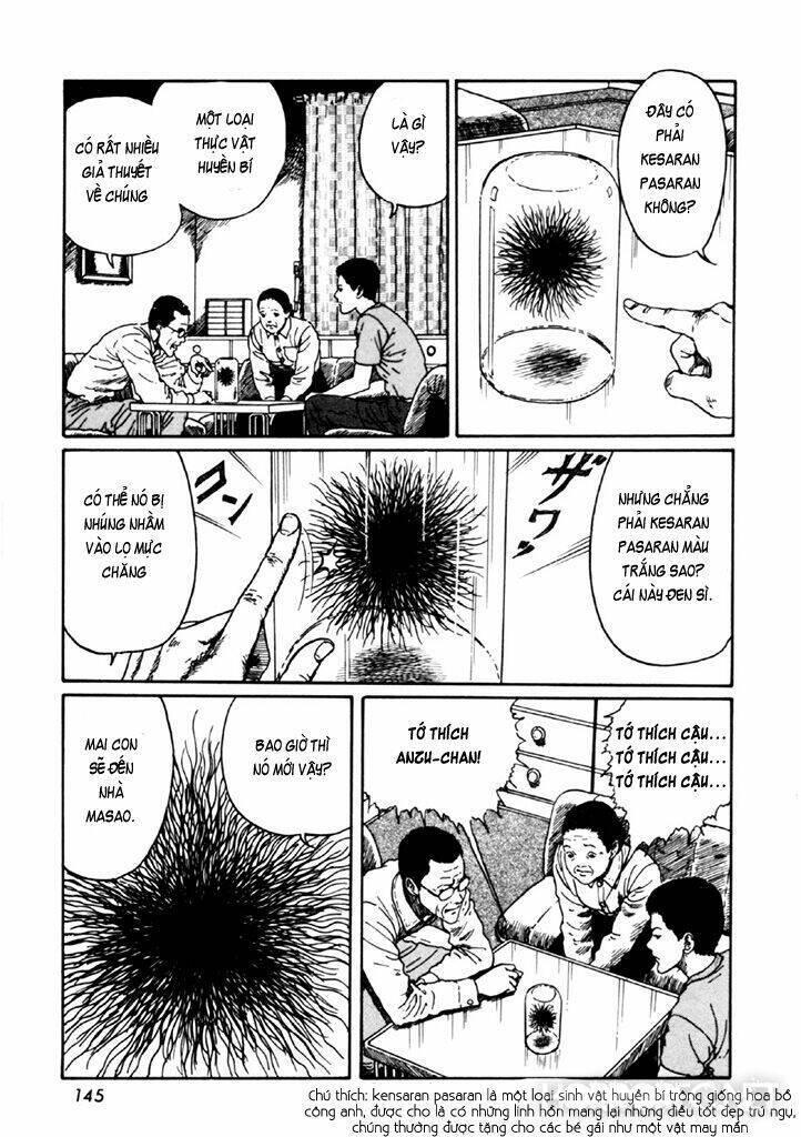 tuyển tập truyện ngắn kinh dị của ito junji chapter 14.4 12