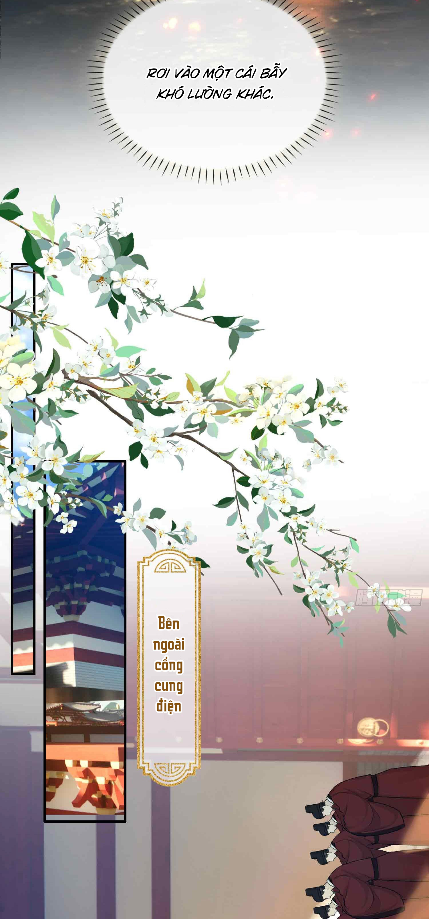 tham hoan chapter 5 12