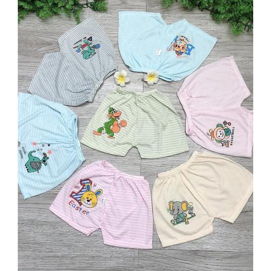 ( set 10 cái) Quần đùi chục cotton thường cho bé từ 3-12 kg