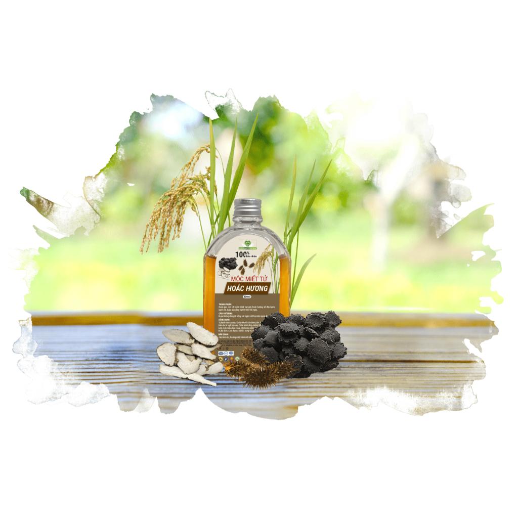 MỘC MIẾT TỬ HOẮC HƯƠNG ( 200ml )