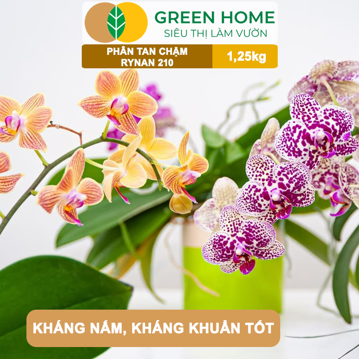 Phân Tan Chậm GreenHome, Rynan 210, Hũ 1,25kg, Dùng Cho Phong Lan Trưởng Thành, Đủ Dưỡng Chất