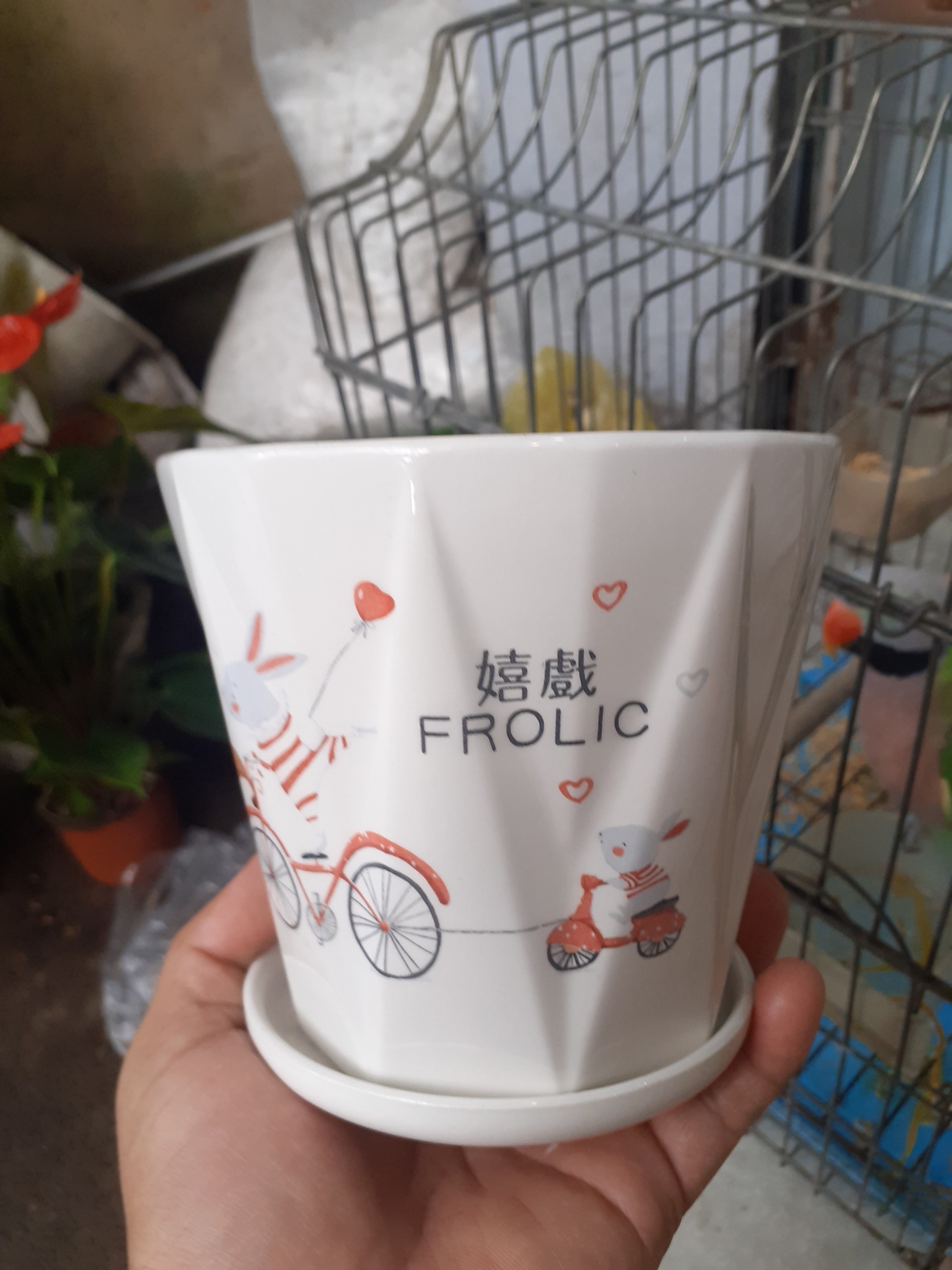 Chậu sứ tròn vân sao màu trắng Anh Em Gấu đi chơi công viên