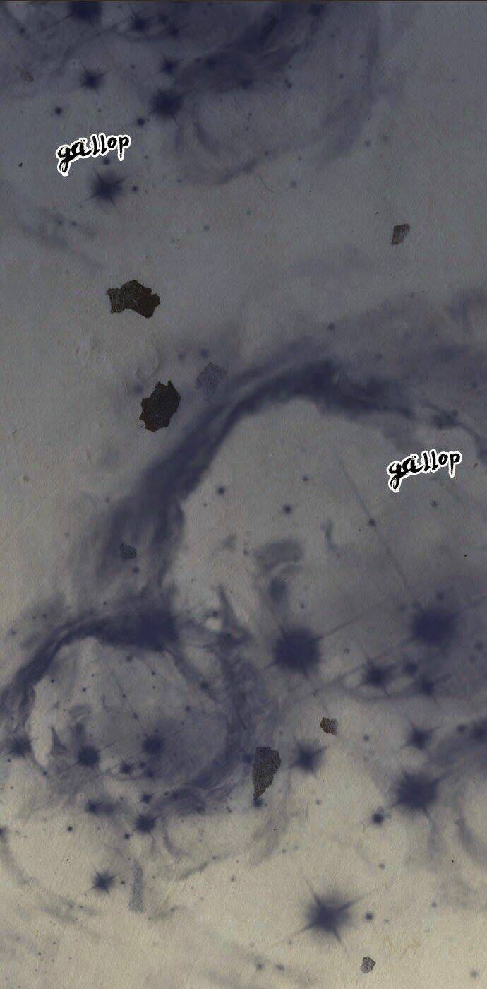 in full bloom chapter 1 6