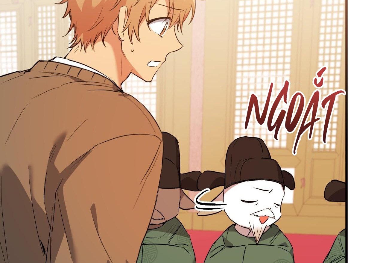 những chú thỏ của hapypy chapter 62 242