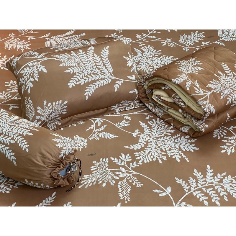 Drap thun hàn quốc