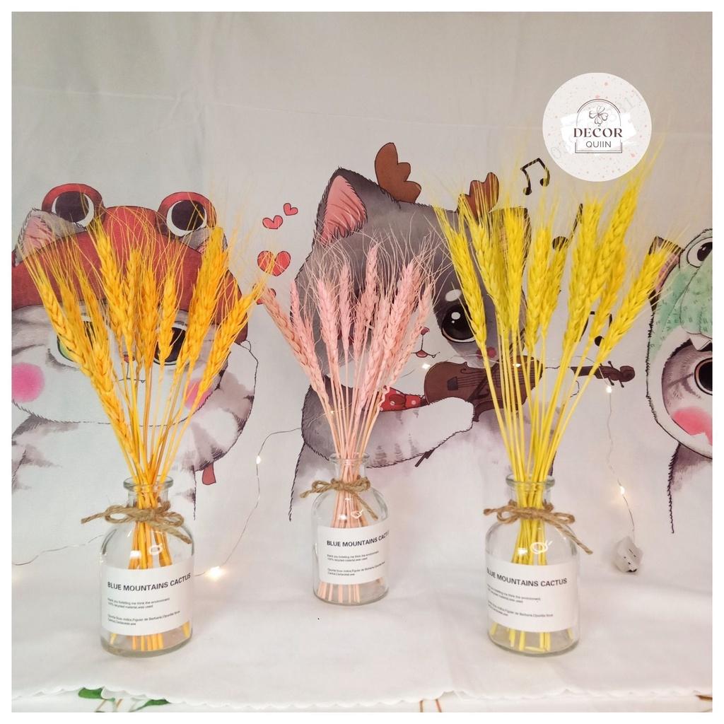 Lọ hoa để bàn️lúa mạch khô15 bông hoa khô trang trí quán cafe decor decor phòng quán trà sữa trang trí shop thời trang
