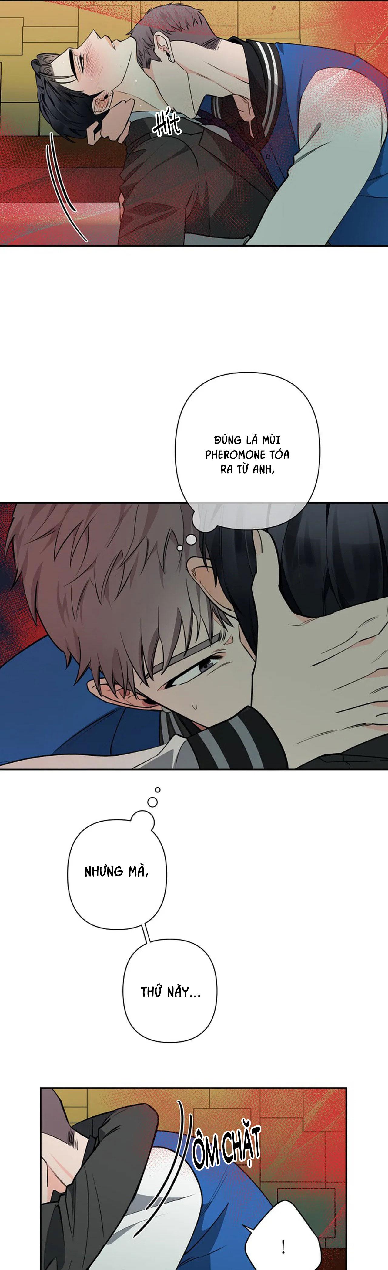 đêm dịu dàng chapter 37 6