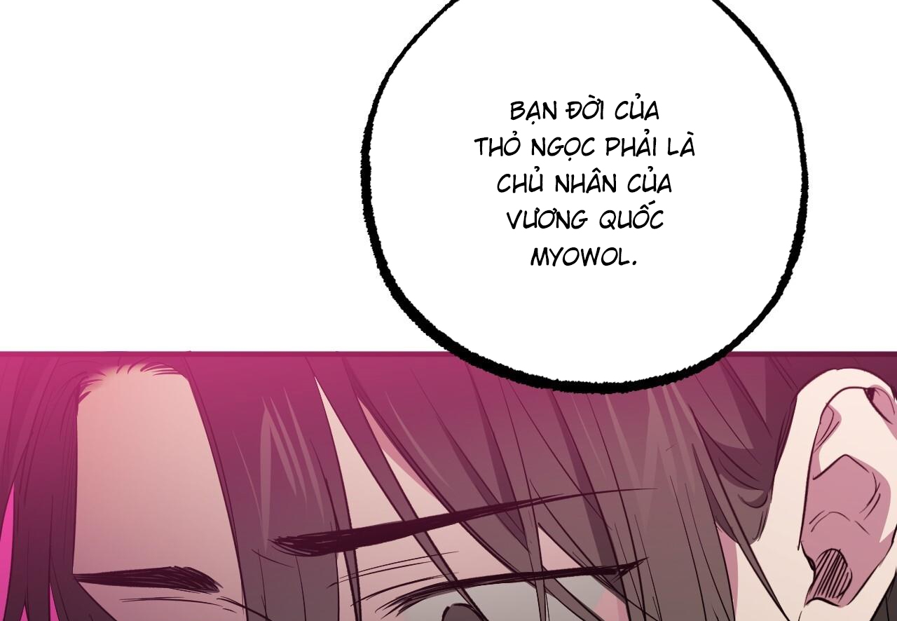 đàn thỏ của habibi chapter 62 161