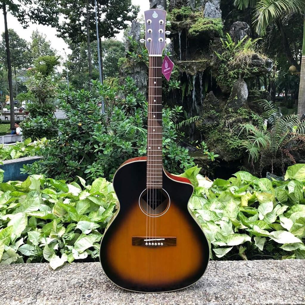 Đàn chuyên tập chơi có ty - guitar acoustic SVA102 tặng full phụ kiện