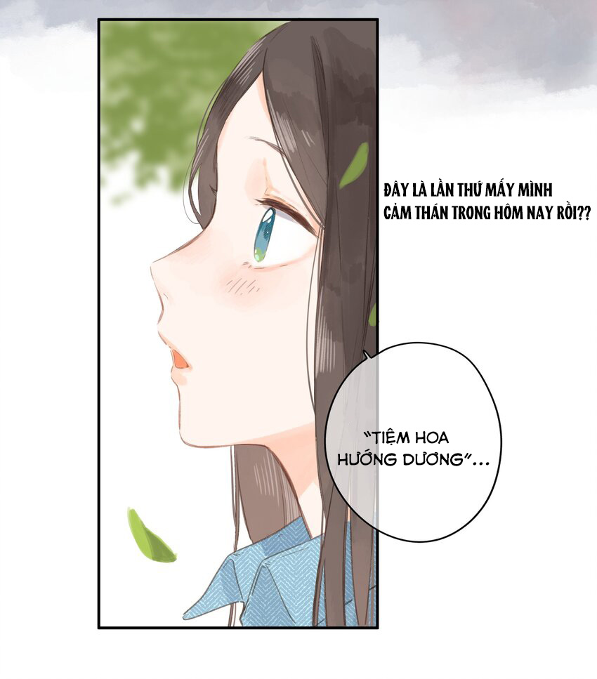 tiệm hoa hướng dương ở góc phố chapter 2 19