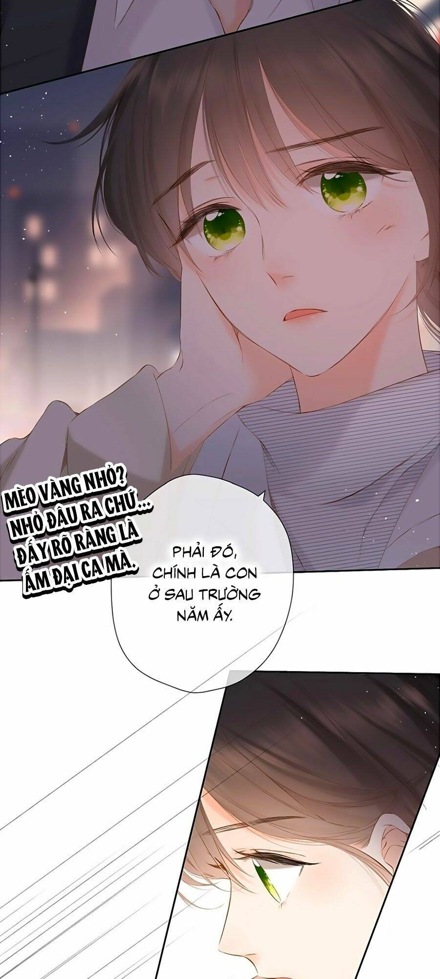 Lại Gặp Được Em Chapter 43 - Trang 19