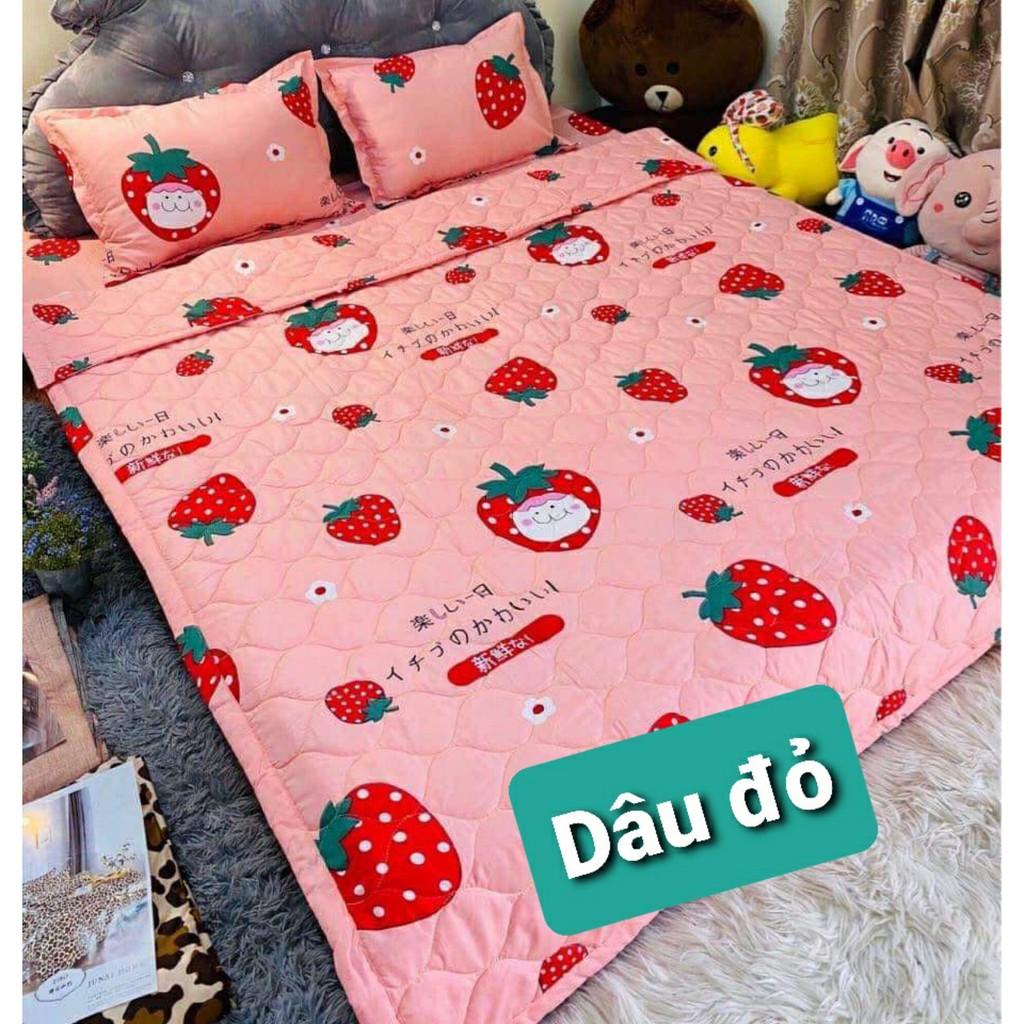 Set 5 Món ga chun 2 vỏ gối đầu ,chăn hè cotton mẫu khủng long bơ
