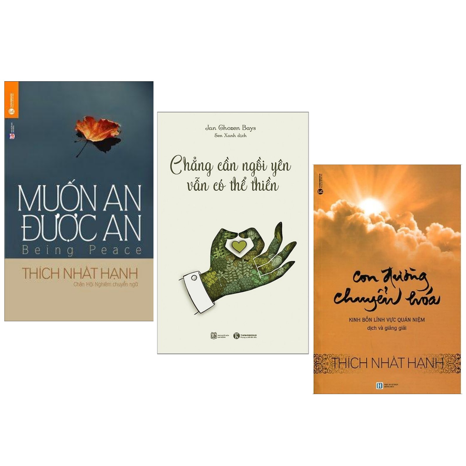 Combo Sách Kỹ Năng Sống: Chẳng Cần Ngồi Yên Vẫn Có Thể Thiền + Con Đường Chuyển Hóa + Muốn An Được An