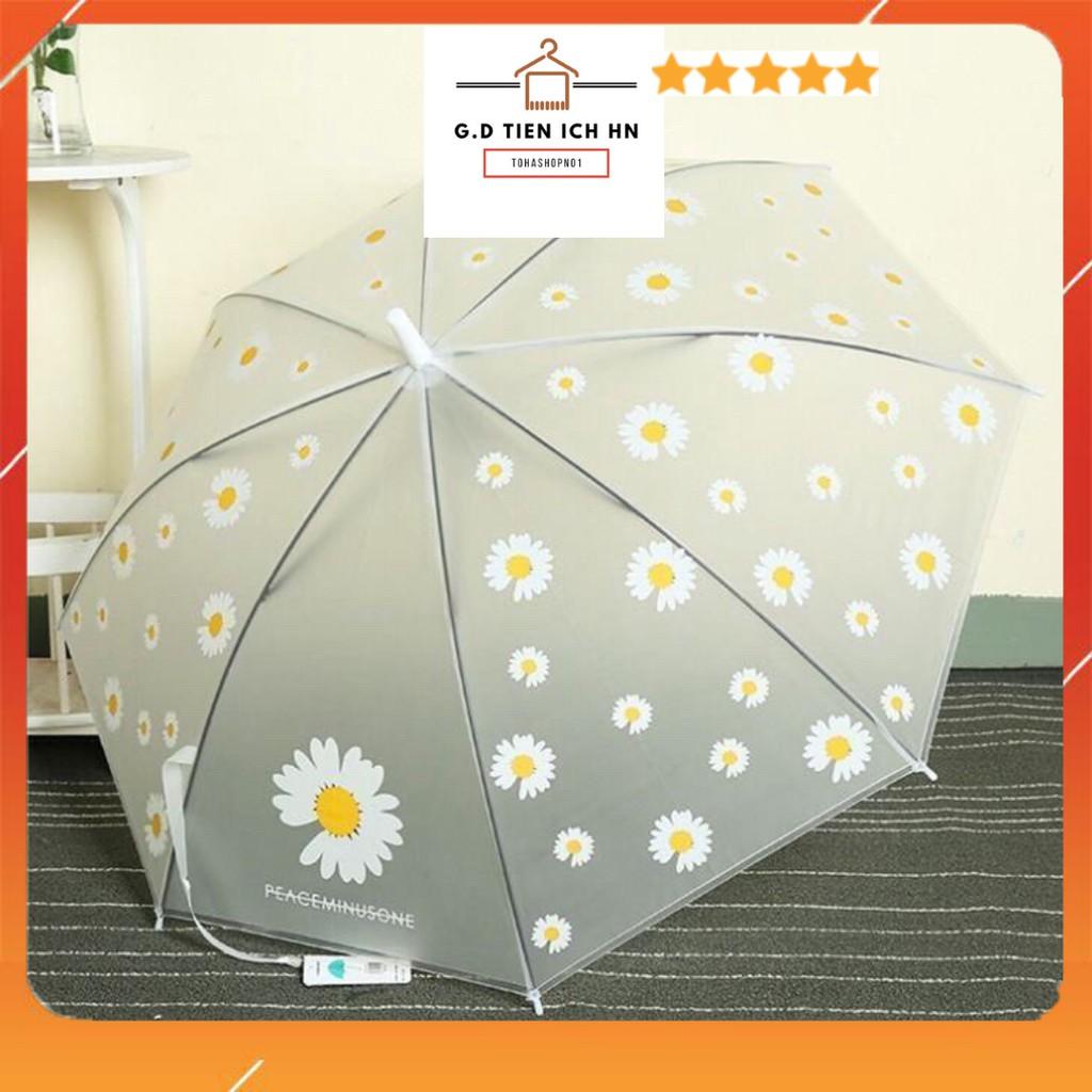 Ô Cán Dài In Họa Tiết Cúc Họa Mi