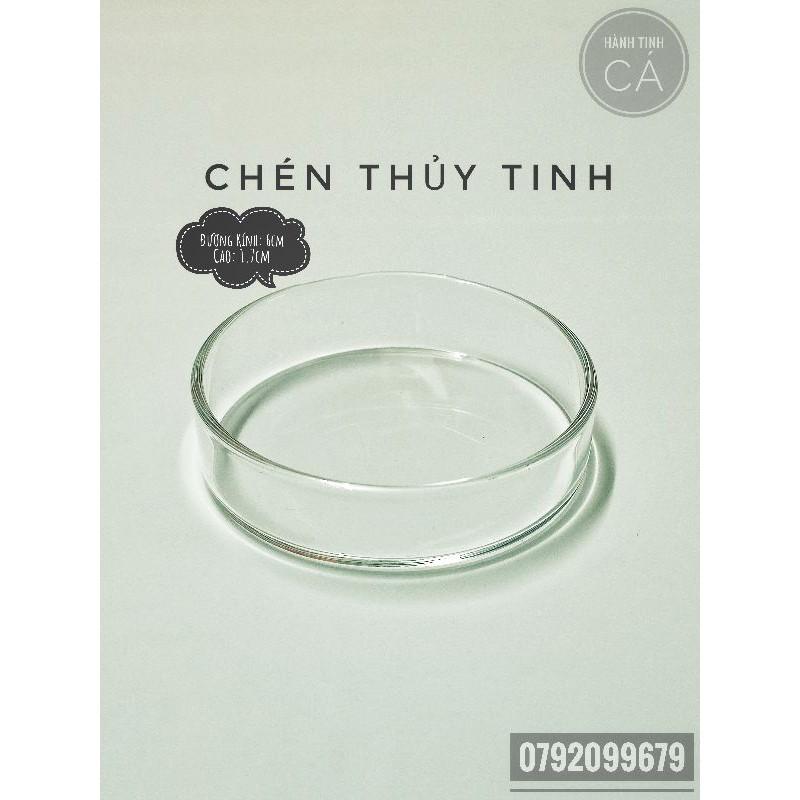 Chén Thủy Tinh SIÊU TRONG chuyện đựng THỨC ĂN CHÌM