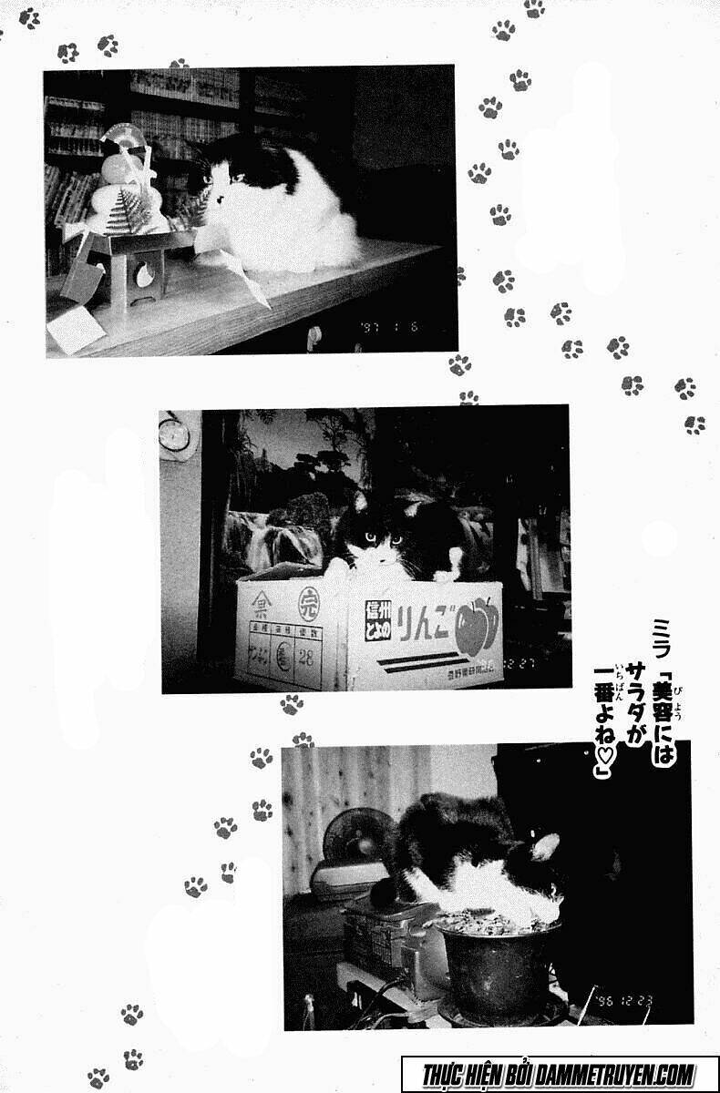 shin kotaro makaritoru! juudouhen chapter 77 21